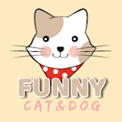 Funny Cat and dog