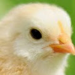 お兄ちゃんアイコン画像