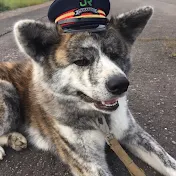 キツネキタ