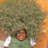 DYFdZ5Woglw-channel-avatar-Efren Mendoza -Jardinería-