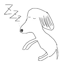 迷犬