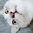 @ca6784able