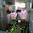 @user-zm4wi1up1t