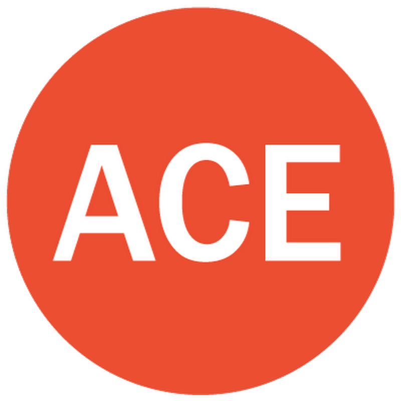 ACE POS Solutions