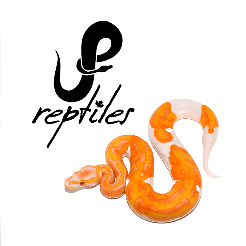 JP Reptiles Canada