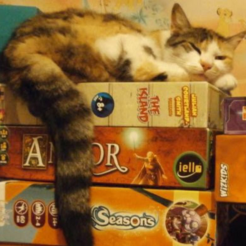 Epingle du jeu