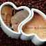 JZZmDssgHXQ-channel-avatar-Polski Gwiazdy