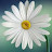 @Whimsical_Nerd