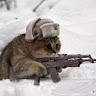 Автор