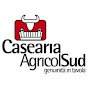 CASEARIA AGRICOL SUD SRL logo