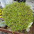 @user-happy-tree0522