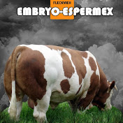 Embryo-Espermex