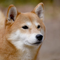 つるゲームズ/TsuruGames