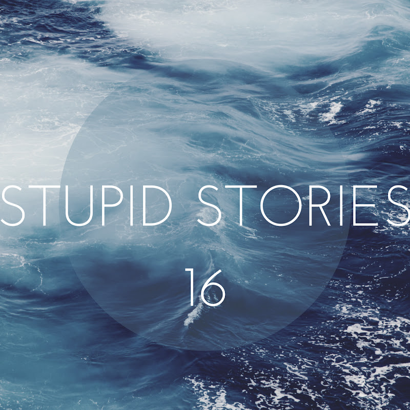 StupidStories16