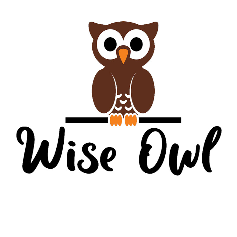 Wise Owl