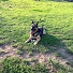 Od1q6sg9YzM-channel-avatar-Farkas Miki
