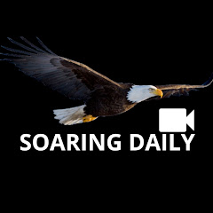 Soaring Daily avatar