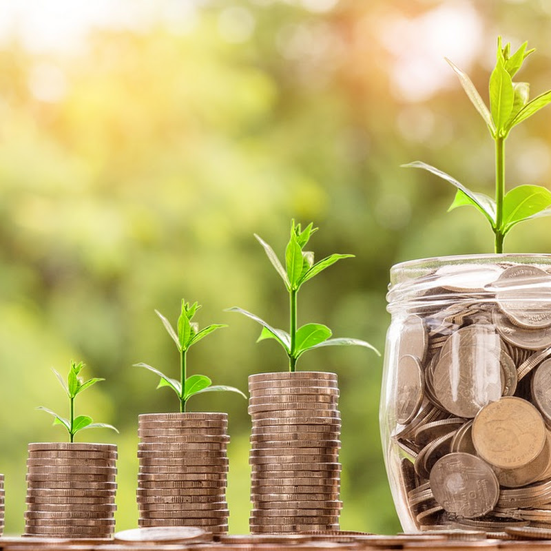 INVESTMENT outlook