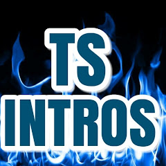 TS INTRO channel logo