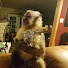 4oVWk2pp8AQ-channel-avatar-Tommy The monkey