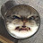 @cheesekek2568's avatar