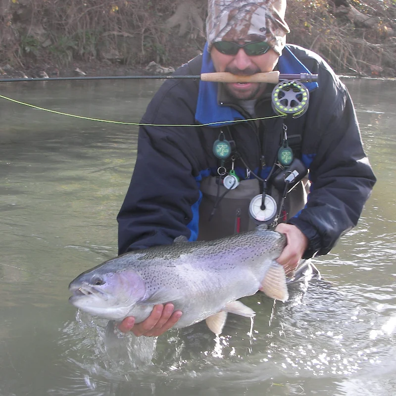 springriverfliesandguides.com