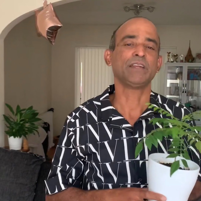 Rajans Vlog
