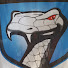 gu9nEEsS0QU-channel-avatar-2KVIPER
