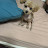@데일카네기-v9u