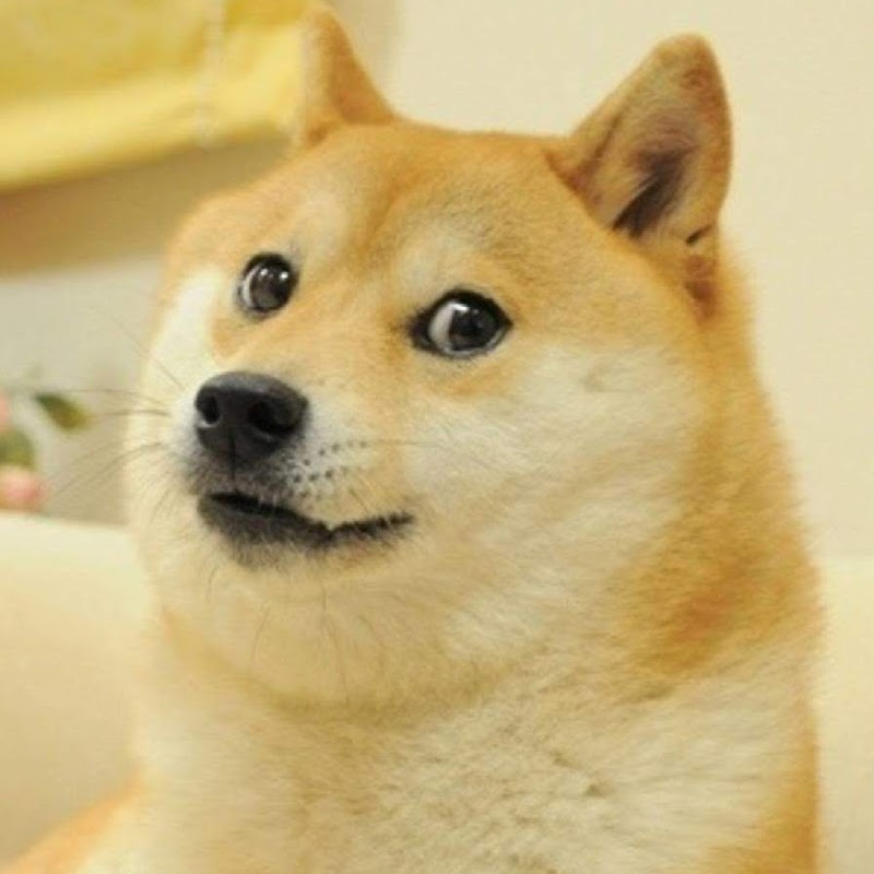 Channel Avatar
