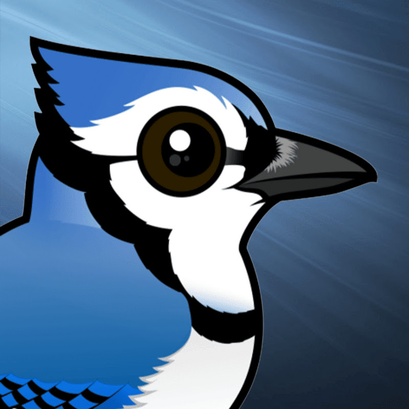 BlueJay Logo