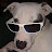 @LovinTruckin Avatar