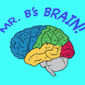 Mr. Bs Brain