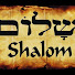 pnfhNmC9VU8-channel-avatar-TC Shalom