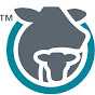 Global Roundtable for Sustainable Beef logo