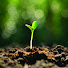 TuCyu8NUwhU-channel-avatar-Mundo verde orgânico