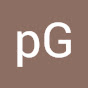pG Chem logo