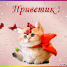 Автор