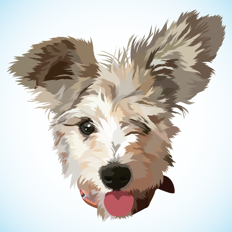 Rocadog icon