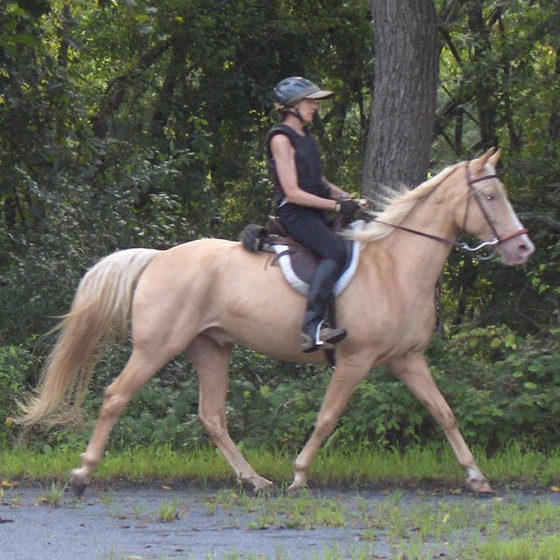 Diane Turner