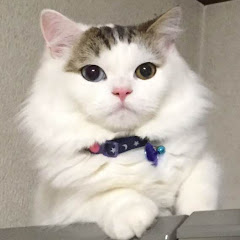 たったん