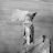 @9ff168 Avatar