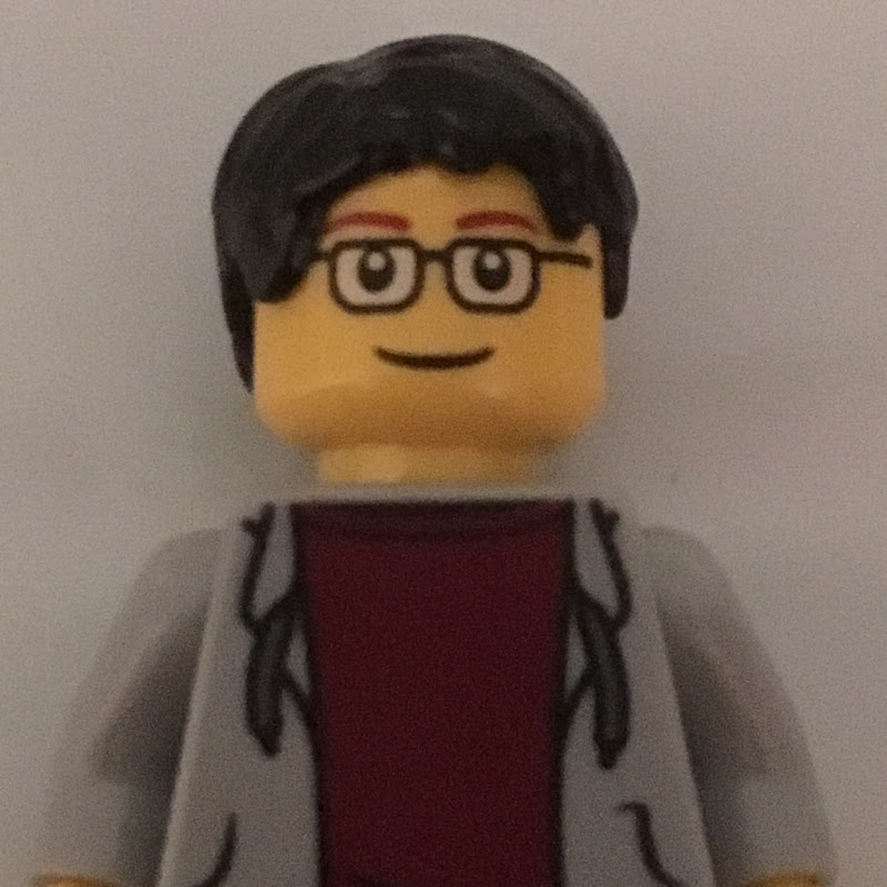 hundredpercentbricks559