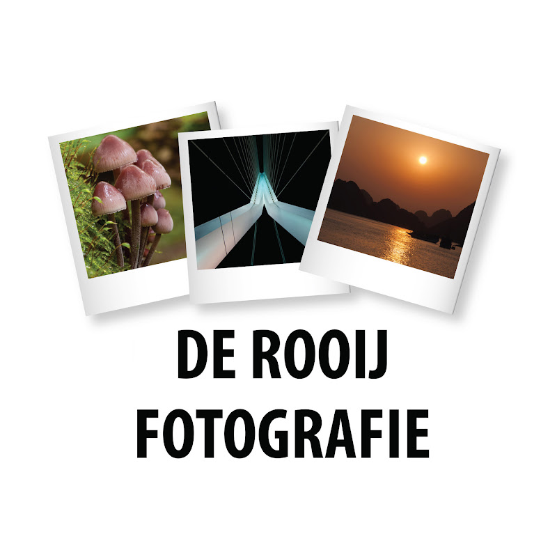 De Rooij Fotografie