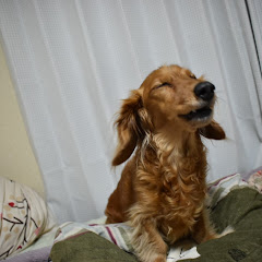 _ rita
