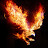 @DerFalke86's avatar