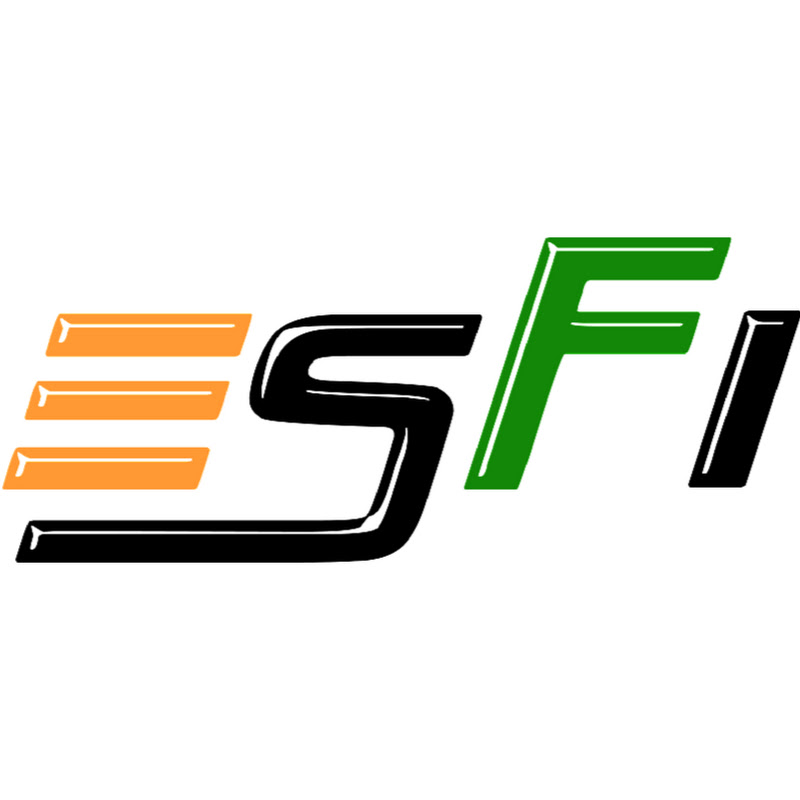 Esports Federation of India
