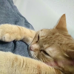 かすがっといるは