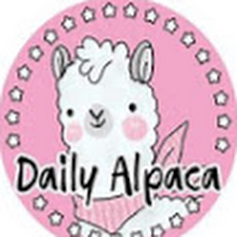 데일리파카 Daily Paca 프로필