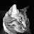 @true_west4704's avatar